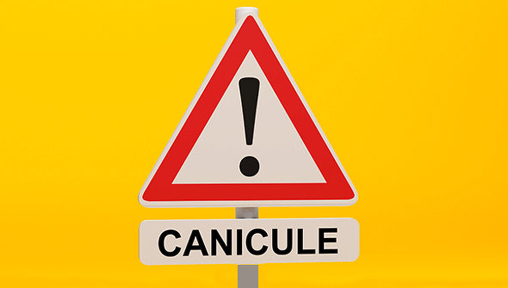 1ier Juillet 2025 : alerte canicule ! Que faire dans vos structures ? 